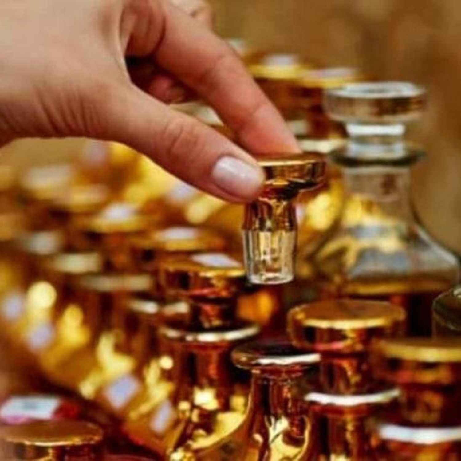 Perfume Oils